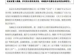 石頭科技擬港交所上市，海外業(yè)務(wù)拓展成募資重頭戲