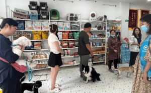 萌宠集结，华城社区狂犬疫苗注射活动温馨上演！