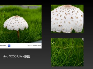 OVM三强争霸，哪款Ultra旗舰才是你的菜？