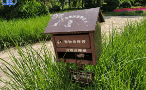 宠物排便问题如何破？建好设施更需提升市民文明素质