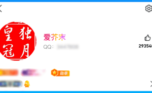 首位满级QQ账号用户出炉，“时光企鹅”图标见证岁月传奇！