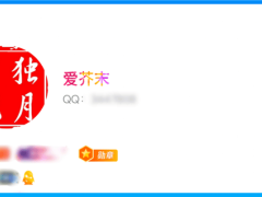 首位滿級QQ賬號用戶出爐，“時光企鵝”圖標見證歲月傳奇！