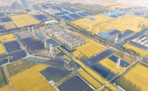 连云港360兆瓦渔光互补项目一期并网，创新滩涂生态开发模式！