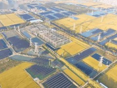 連云港360兆瓦漁光互補項目一期并網，創新灘涂生態開發模式！