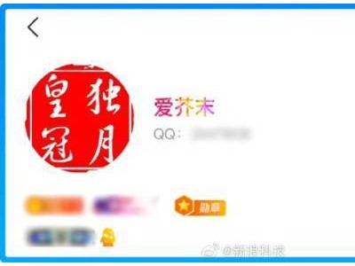 QQ等级新巅峰！全球首位256级用户解锁“时光企鹅”图标