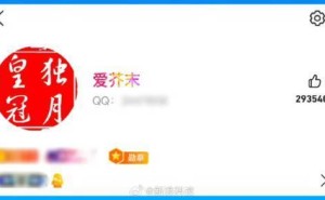 QQ等级新巅峰！全球首位256级用户解锁“时光企鹅”图标