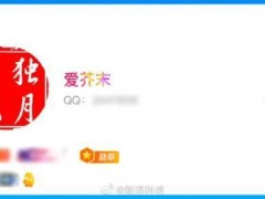 QQ等级新巅峰！全球首位256级用户解锁“时光企鹅”图标