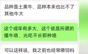 网购宠物牛长到300斤？商家“以旧换新”套路深引热议！