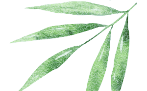 2025贵州台江苗族独木龙舟节：竞渡报名启动，奖金丰厚等你来战！