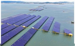 渔业光伏新突破！青岛即墨海上桩基固定式光伏项目并网发电