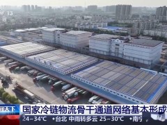 国家冷链物流骨干网“四横四纵”格局初现，105个基地助力物流成本降低