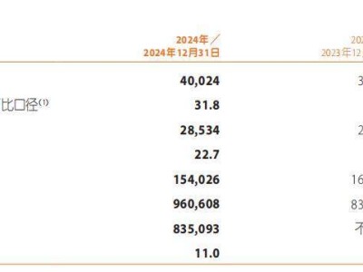 中国平安：万亿巨头的新增长点何在？