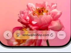 苹果iOS 26 Safari新界面曝光：无边框设计搭配液态玻璃动画效果