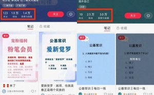 小红书副业新招：宝妈用模板创作，轻松实现月入过万不是梦！