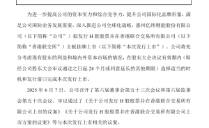 亿纬锂能加速全球化步伐，拟发行H股香港上市