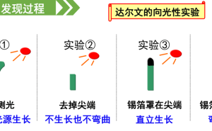 张一鸣的产品哲学：如何跨越从想法到成功产品的鸿沟