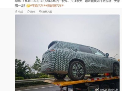 零跑D系列首款大尺寸车型曝光，或成30万级市场新宠？