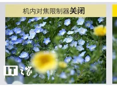尼康Z8固件3.00版来袭，自动对焦等性能全面升级！
