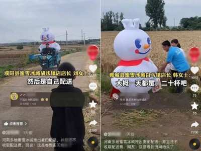 蜜雪冰城麦田配送：温情背后，农民真的买得起吗？