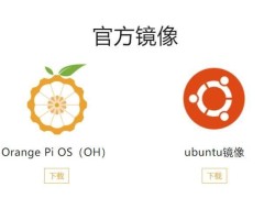 香橙派RV2开发板携手开源鸿蒙5.0，打造AI与物联网新体验！