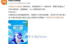 虎小鲸入列！阿里巴巴动物园再添新成员，文娱集团也“鲸”喜更名