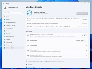 Win11六月更新遇阻！微软紧急叫停后，修复版正赶来