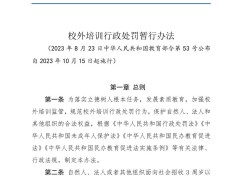 地下补课升温：教育部严管下，独立老师何以成“香饽饽”？