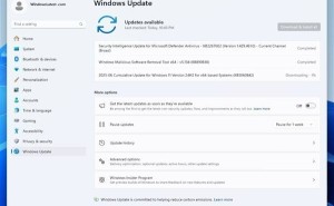 微软Win11 24H2更新遇阻，紧急暂停推送后迅速修正