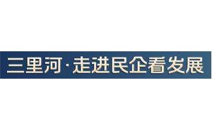 豫商力量：从“三头象”看河南企业家的务实创新之路