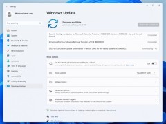 微软Windows 11 24H2更新遇阻后，修复版已重新上路