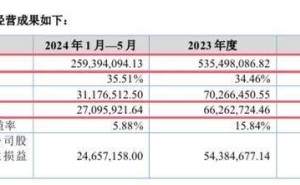 富印新材IPO辅导收官，徐兵高中学历自主创业成就亿万身家？