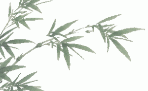 鹤壁市美术书法盛宴，第四届“翰墨丹青”作品展等你来赏！