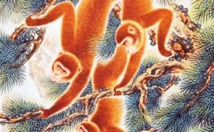 职场顺风顺水！这些生肖今年贵人相助，升职加薪不是梦