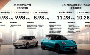 2025款欧拉好猫预售启航，8.98万起，能否与比亚迪海豚一决高下？