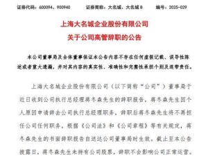 大名城执行总经理蒋冬森辞职，去年年薪高达260万