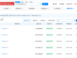 小米YU7商标注册成功，雷军预告6月底发布小米YU7及多款新品