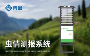智能守护，农作物病虫害实时监控设备助力农业稳产增收