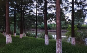 别让高考志愿填报焦虑，成为家长盲目消费的导火索