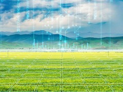 中国电信“量体裁衣”，赋能工业数字化转型升级