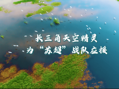 长三角珍稀飞鸟，助力“苏超”联赛，共绘城市生态美景！