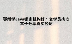 鄂州学Java，避坑指南！老学员亲身经历分享，线上机构或成更优选