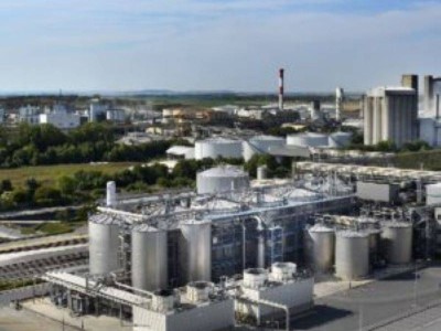 全球與中國氟硅涂層市場：2025至2031年趨勢與競爭格局深度剖析