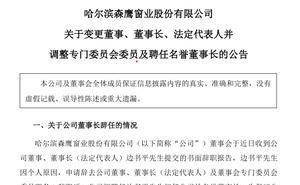 森鹰窗业董事长边书平辞职，儿子边可仁接班，业绩亏损难题如何破解？