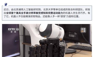 我国科研团队研发出仿生灵巧手：能精准抓取，还能“感受”力度