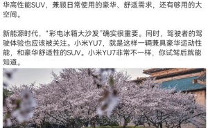 小米YU7发布在即，雷军详解为何非6座：豪华舒适与驾驶体验并重