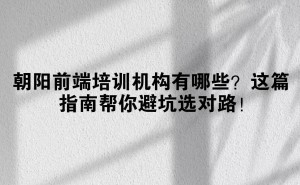 朝阳前端培训哪家强？避坑攻略助你找到靠谱之选！