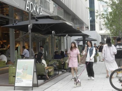 浦東新消費場景：國際風尚與市井煙火共舞，激活經(jīng)濟新脈動