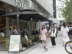 浦东新消费场景：国际风尚与市井烟火共舞，激活经济新脉动