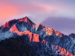 苹果或考虑收购AI搜索新星Perplexity？