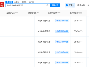 小米再布局！新申请“XRINGO”系列商标，玄戒芯片家族再添新成员？